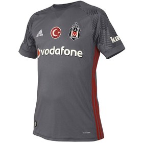 Resim Beşiktaş Orijinal Gri Forma 17-18 Sezon 
