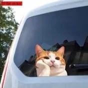 Resim 1 adet Sevimli Turuncu Kedi 2D Düz Etiket - Fantastik Pencere Çıkartması Arabalar, Kamyonlar, Motosikletler, Dizüstü Bilgisayarlar için - Dayanıklı PVC, Kolay Çıkar ve Yapıştır, Araç veya Ofis Dekorasyonuna Şirinlik Ekler, Kedi Araba Dekorasyonları, Dizüstü Bilgisayar Dekorasyonu, Canlı Tasarım, Kolay Uygulama 