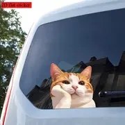 Resim 1 adet Sevimli Turuncu Kedi 2D Düz Etiket - Fantastik Pencere Çıkartması Arabalar, Kamyonlar, Motosikletler, Dizüstü Bilgisayarlar için - Dayanıklı PVC, Kolay Çıkar ve Yapıştır, Araç veya Ofis Dekorasyonuna Şirinlik Ekler, Kedi Araba Dekorasyonları, Dizüstü Bilgisayar Dekorasyonu, Canlı Tasarım, Kolay Uygulama 