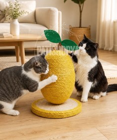 Resim PATİSHOPYA Kedi Tırmalama Tahtası Limon Model Hasır Kedi Tırmalama Oyuncağı 34x18 Cm Dekoratif Kedi Tırmalaması 