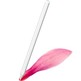 Resim Fuchsia Ipad Mini 6 Magnetik Şarj Olabilen Eğime Duyarlı Avuç Içi Red Özellikli (2. Nesil) Kalem 