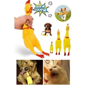 Resim Ses Çıkaran Tavuk Kedi Köpek Oyuncağı 30 cm. 