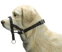 Resim Beeztees Köpek Eğitim Tasması, Baş Kontrollu, Siyah, M 