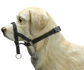 Resim Beeztees Köpek Eğitim Tasması, Baş Kontrollu, Siyah, XL 