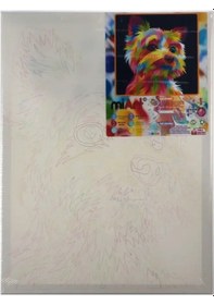 Resim Miart Sayılarla Boyama Seti Sevimli Dost 30x40 Cm 