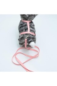 Resim Ne verelim size Kedi Düz Göğüs Tasması Ve Gezdirme Seti Ps9642 