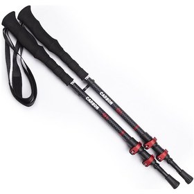 Resim Evolite Carbon Quick-Lock Dıştan Kilitli Trekking Batonu Çok Renkli 