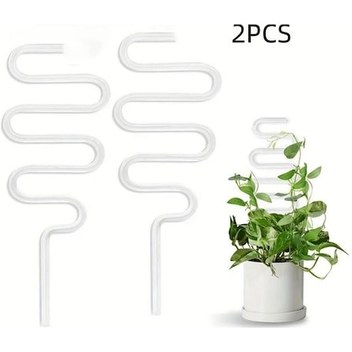 Lumaworld Transparent Orta Boy S Tasarım Akrilik Bitki Filesi