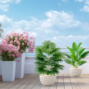 Resim 2'li büyük yapay palmiye ağaçları seti - UV dayanıklı, iç ve dış mekan dekorasyonu için uygun, ev, otel, bahçe, ofis, düğün ve tatil sahneleri, yer yerleştirme, çok fonksiyonlu oda dekorasyonu, yeşil yelpaze mimari tarz 