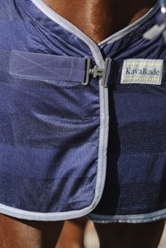 Resim Stripe At Sinekliği ve Böcek Koruma Örtüsü - Koyu Mavi / 165 