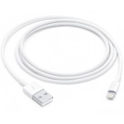 Resim iPhone USB-C to Lightning Şarj ve Data Kablosu (1m) Apple