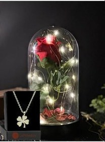 Resim Lapidaria Cam Fanus Içerisinde Peri Led Işıklı Solmayan Kırmızı Gül Lamba Ve Yonca Kolye 