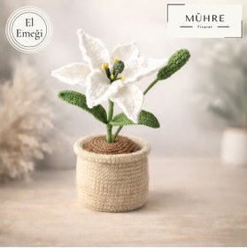 Resim mühre Saksıda Zambak Hediyelik %100 Pamuklu Organik Amigurumi Örgü Doğumgünü Hediye 