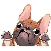 Resim Yingfu Fransız Bulldog Evcil Köpek Stili Tırnak Çizik Çıkartması, Su Geçirmez İşaretler Araba/far Çıkartması Stylec 