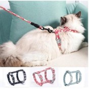 Resim Kedi Gezdirme Göğüs Tasması 