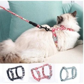 Resim Kedi Gezdirme Göğüs Tasması 