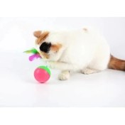 Resim Buğz Kedi Fare Hacıyatmaz Oyunu 