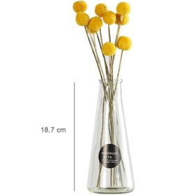 Resim Şeffaf Simple Cam Vazo Modern Ve Minimalist Tasarımla Ferah Alanlar İçin Şık Seçim 