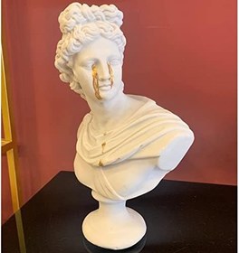 Resim BY ARİ APOLLON BÜST HEYKEL BİBLO HK102-20 
