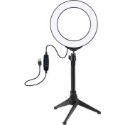 Resim Ally Puluz 6,2 cm LED Işık 16 cm Stand Youtuber Canlı Yayın Selfie Tiktok Makeup AL-32486 