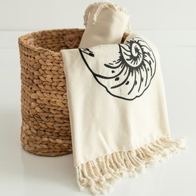 Resim Peştamal Deniz Kabuğu 