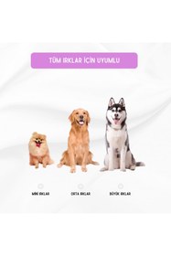 Resim Hype Store Proud Wave Köpek Oyuncağı Renkli Çekiştirmeli Halat Pamuk - Köpek Isırma Kemirme Oyuncağı Top Diş İp 