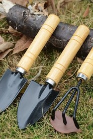 Resim Ahşap Saplı Metal Uçlu 3 Parça Mini Tırmık ve Kürek Çiçek Bitki Fidan Dikim Çapalama Hobi Bakım Seti 
