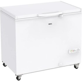 Resim Regal Sd Dual 3020 E Enerji Sınıfı 268 lt Sandık Tipi Derin Dondurucu 