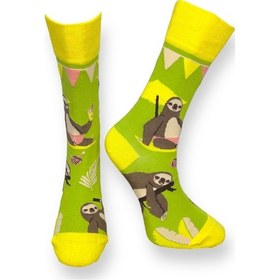 Resim Me-vo Tekli Yeşil Renkli Erkek - Kadın Unisex Esnek Nem Alabilen Pamuklu Koala Desenli Soket Çorap Yeşil 