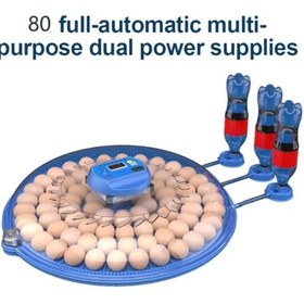 Resim Genel Markalar 80 Yumurta Kapasiteli Otomatik Çiftlik Kuluçka Makinesi : Yumurta, Bıldırcın, Civciv Ve Kanatlılar İ 