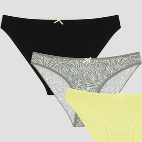 Resim Zebra 3lü Slip Külot Çok Renkli 