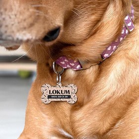 Resim Köpek İsmi ve Telefon Numaralı Tasma Üstü Künye 