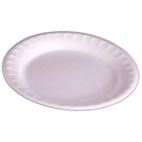 Resim Anı Küçük Boy Köpük Tabak 17 Cm 100 Lü Paket ,kullan At Cafe Restoran Çiğköfte Manav Doğum Günü Parti 