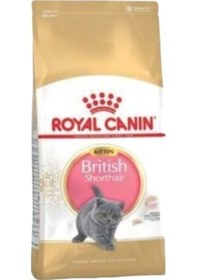 Resim British Shorthair Kitten Yavru Kedi Maması 2 Kg 
