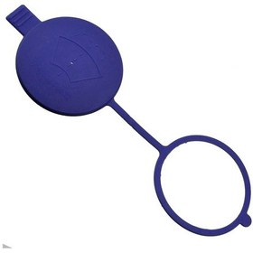 Resim Volkswagen Crafter 2006 - 2018 Yedek Cam Su Depo Kapagi Mavi 422336736 