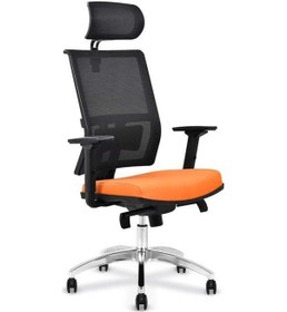 Resim Koltukstilim Flexiform Fileli Yönetici Koltuğu Diğer 