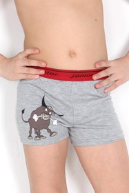Resim Miorre Erkek Çocuk Boxer 