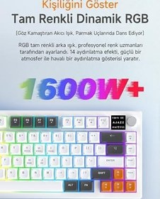 Resim Coverzone Üçlü Mod Membran Gaming Klavye,%75 Düzen, 4000mAh Batarya, RGB 14 Efekt, TFT Ekran, Type-C, Bluetooth 2.4G, Su Geçirmez, Win/Mac Uyumlu, Multimedya Düğmeli | AJAZZ AF82 (Mavi Beyaz - AF82) 