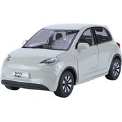 Resim 1:24 Wuling Binguo-gri 