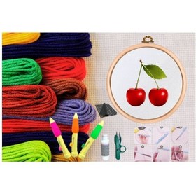 Resim Punch Seti Nakış Seti Kasnaklı Kendin Yap Seti Seri 12 