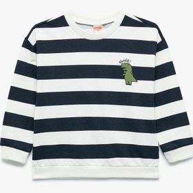 Resim Erkek Bebek Pamuklu Şardonlu Uzun Kollu Bisiklet Yaka Dinozor Baskılı Çizgili Sweatshirt 