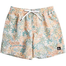 Resim Quiksilver EQYJV04004 Re-Mix Volley 17Nb Erkek Şort Mayo 