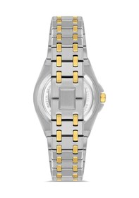 Resim Ferro Fl43007a-d6 Quartz Çelik Altın/gri Yeşil Kadran 33 Mm Kadın Kol Saati Gri 