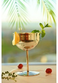 Resim Bakır Şarap Kadehi Gümüş Renk 