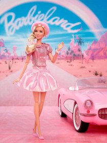 Resim Barbie Film Serisi: Pembe Bereli Bebek - Standart 