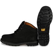 Resim Campbell 20k Cat Bay Bot 