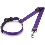 Resim Yuvarlak Mor Küçük Orta Köpekler Seyahat Klip Pet Malzemeler 6 Re 