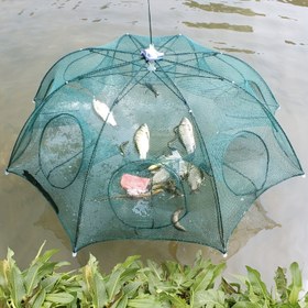 Resim Katlı Altı Hexagonal Balık Ağı, 4-6-8-10 Delik, Taşınabilir Polyester Küçük Balık, Kerevit, Yengeç, Av ve Balık Malzemesi, Yeşil, 1adet, İdeal Noel Hediyesi için 