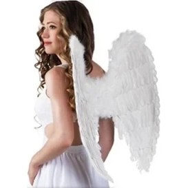 Resim Melek Kanadı Kostümü 