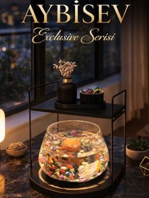 Resim Reyo OK-AY Store Düz Raflı Işıklı Lüks Cam Fanus İçinde Beta Balığı İçin Özel Tasarım Masa Üstü Dekoratif Akvaryum Siyah-Siyah 
